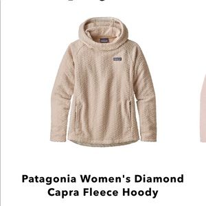 Patagonia sweatshirt